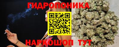 mdpv Усть-Илимск